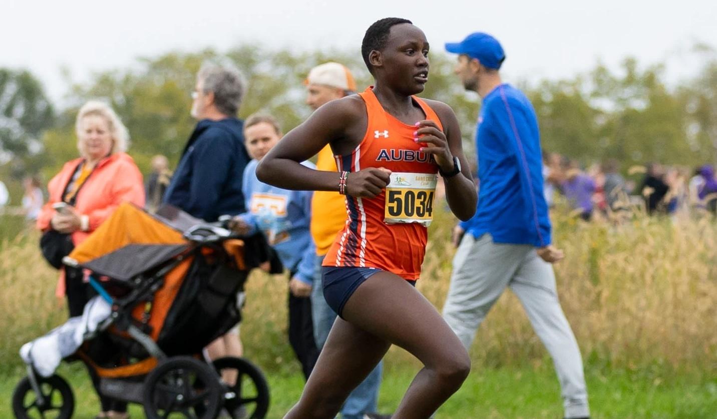 auburn xc