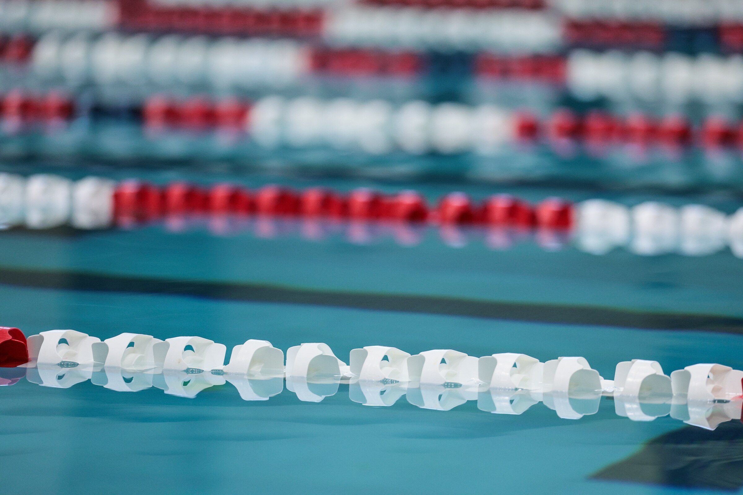 DI swim and dive
